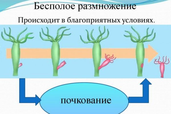 Кракен сс