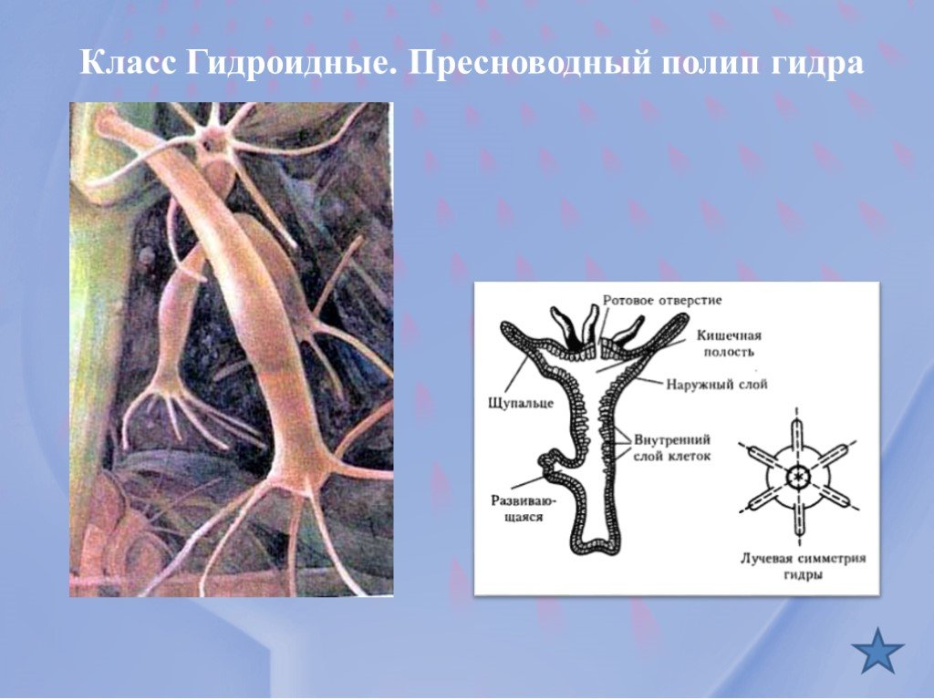 Кракен ссылка kr2link co